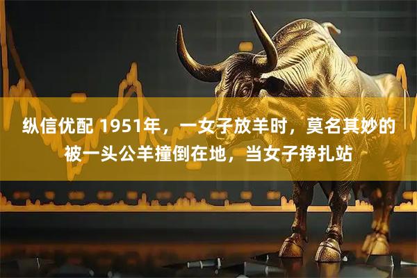 纵信优配 1951年，一女子放羊时，莫名其妙的被一头公羊撞倒在地，当女子挣扎站