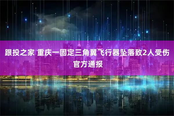 跟投之家 重庆一固定三角翼飞行器坠落致2人受伤 官方通报