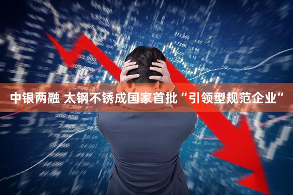 中银两融 太钢不锈成国家首批“引领型规范企业”
