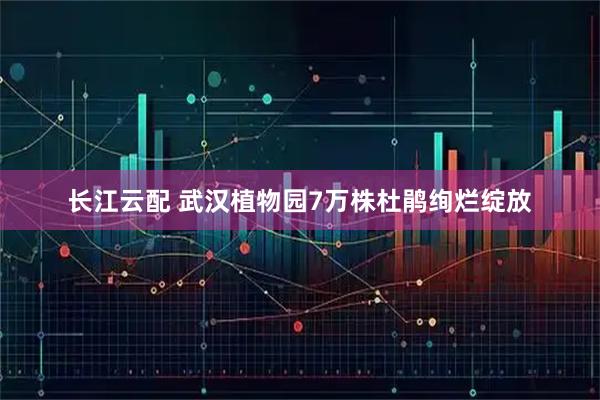 长江云配 武汉植物园7万株杜鹃绚烂绽放